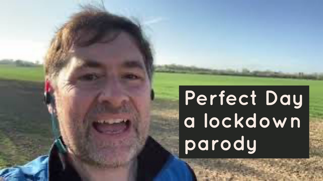 Lou Reed Perfect Day Lockdown Parody Music Video